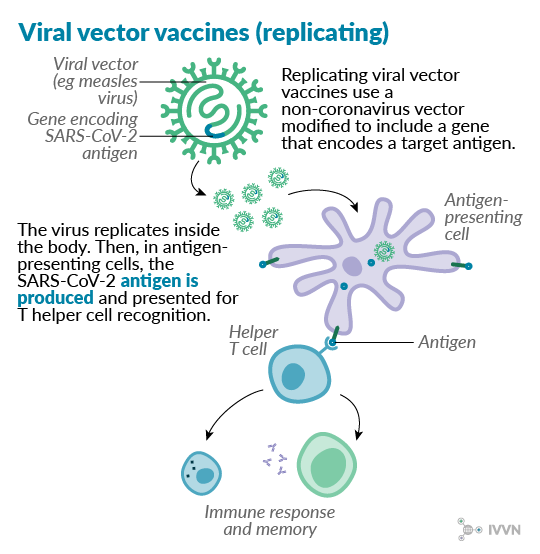 COVID-19 vaccine: the eight technologies being tested | IVVN